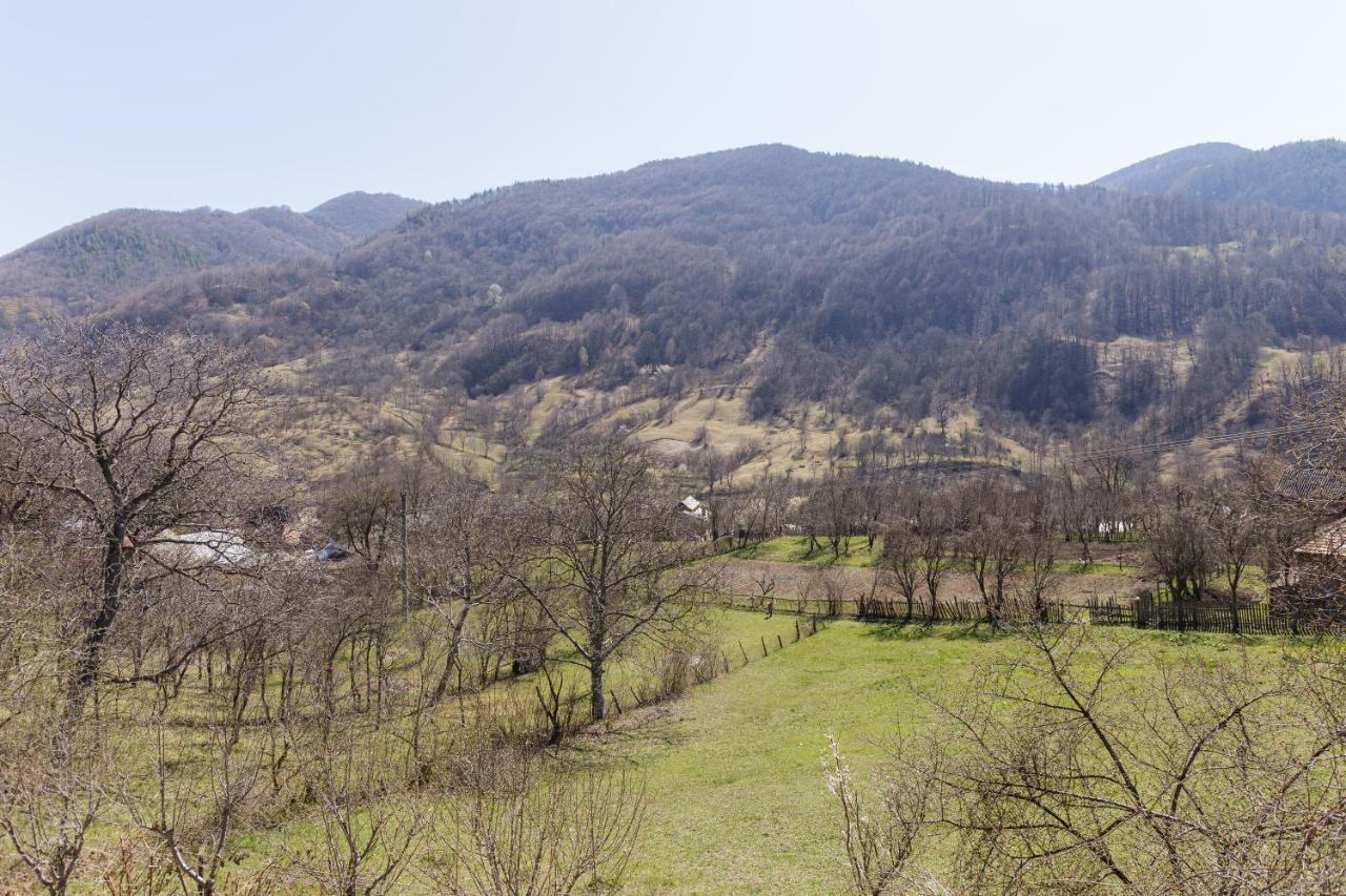 Nook Of Nature Basca Rozilei Экстерьер фото